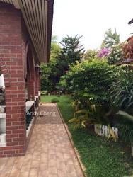 Richards Avenue (D19), Terrace #150220642